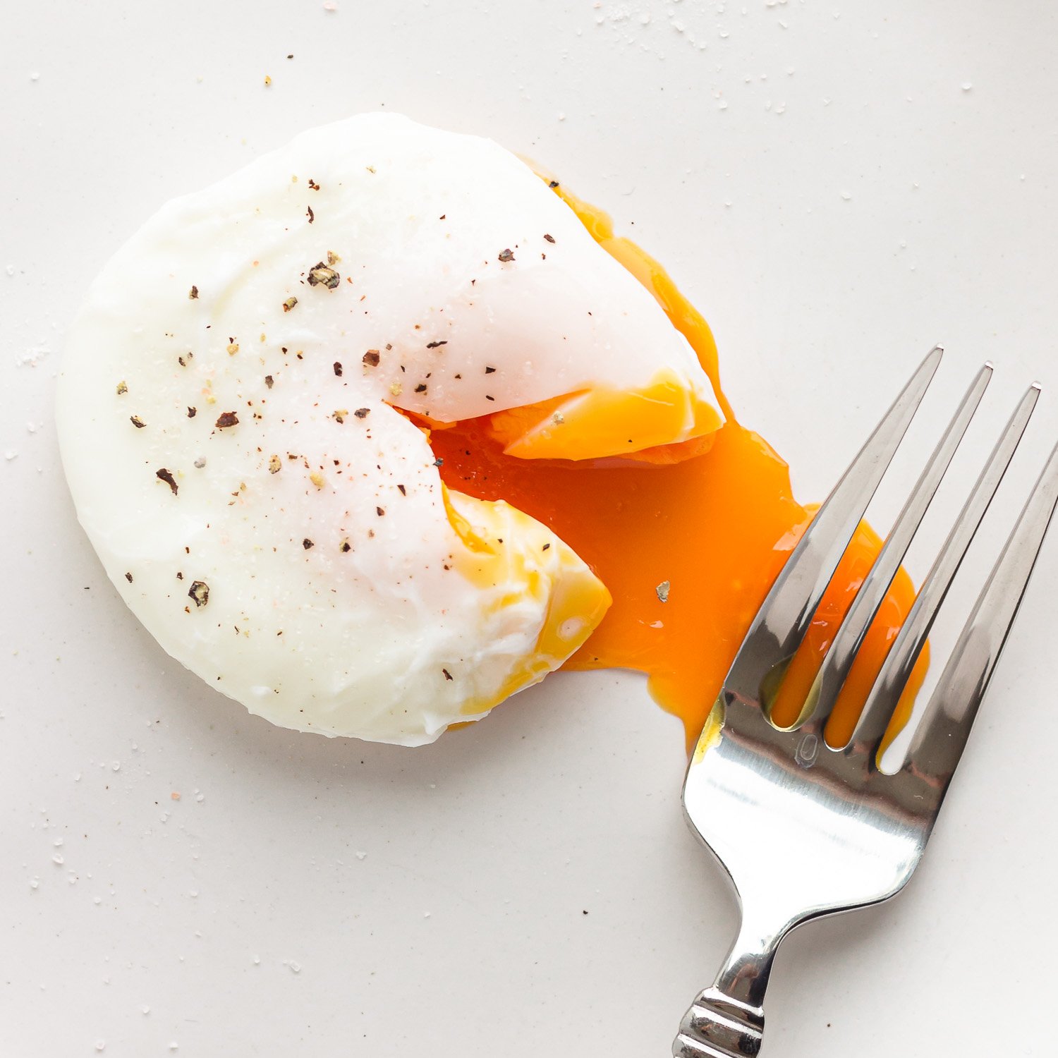 Classic Poached Egg